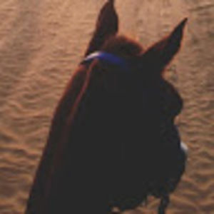 Meet your Posher, Aziz